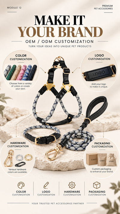Reflective Rope Dog Harness Collar and Leash Set