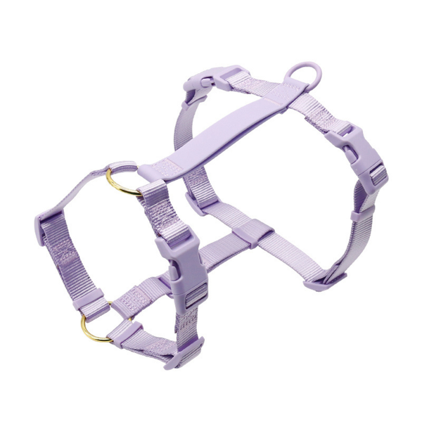 Lightweight Walking Harness