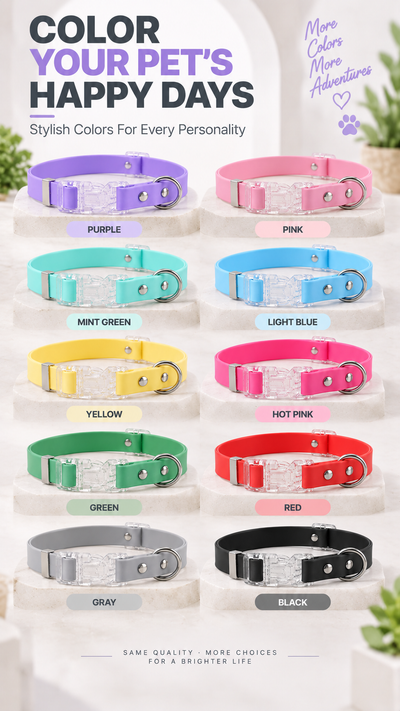 Wholesale Water-Resistant Dog Collar with Clear Quick-Release Buckle