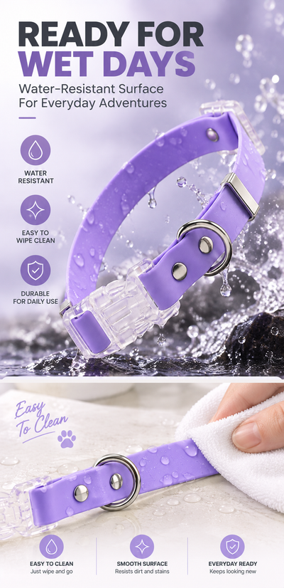 Wholesale Water-Resistant Dog Collar with Clear Quick-Release Buckle