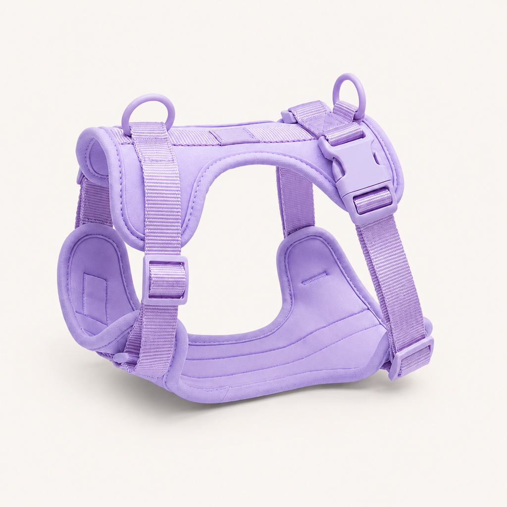 Adjustable Breathable Dog Harness