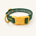 Custom Coated Dog Collar with Contrast Buckle