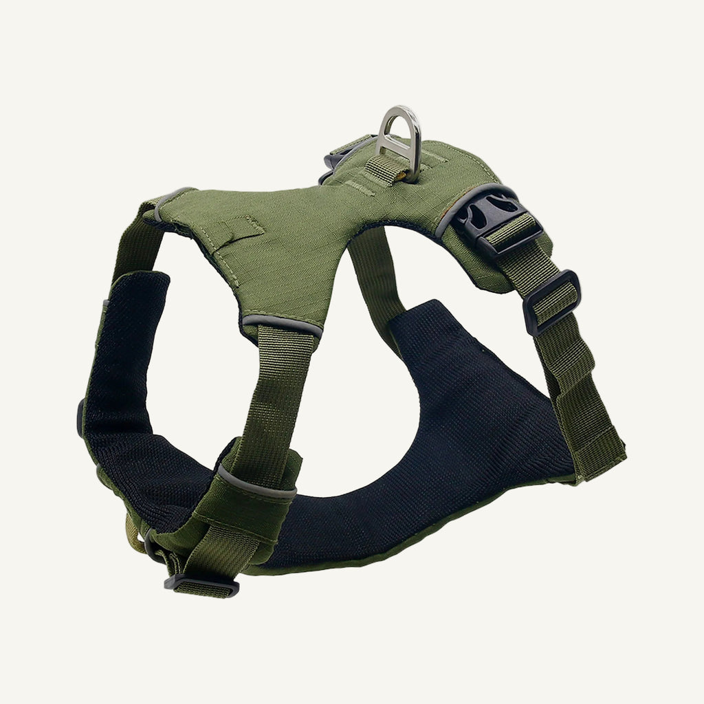 Angled 300d grid nylon reflective dog harness catalogue view for private label buyers