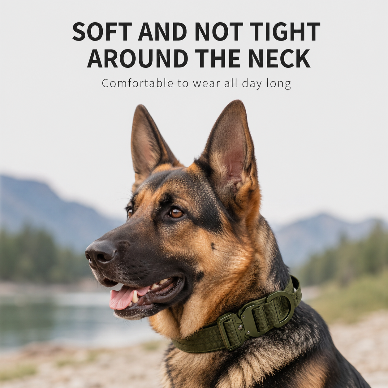 Heavy Duty Tactical Dog Collar with Aluminum Buckle and Control Handle