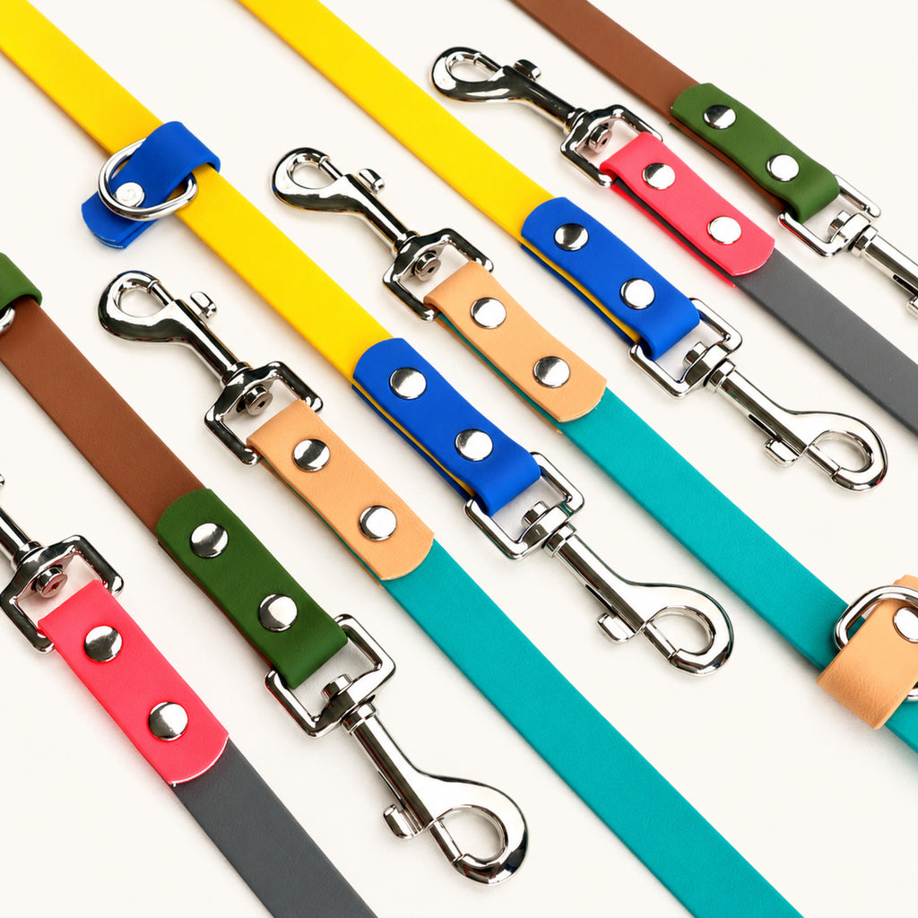 Two-Tone PVC-Coated Double-Ended Dog Leash