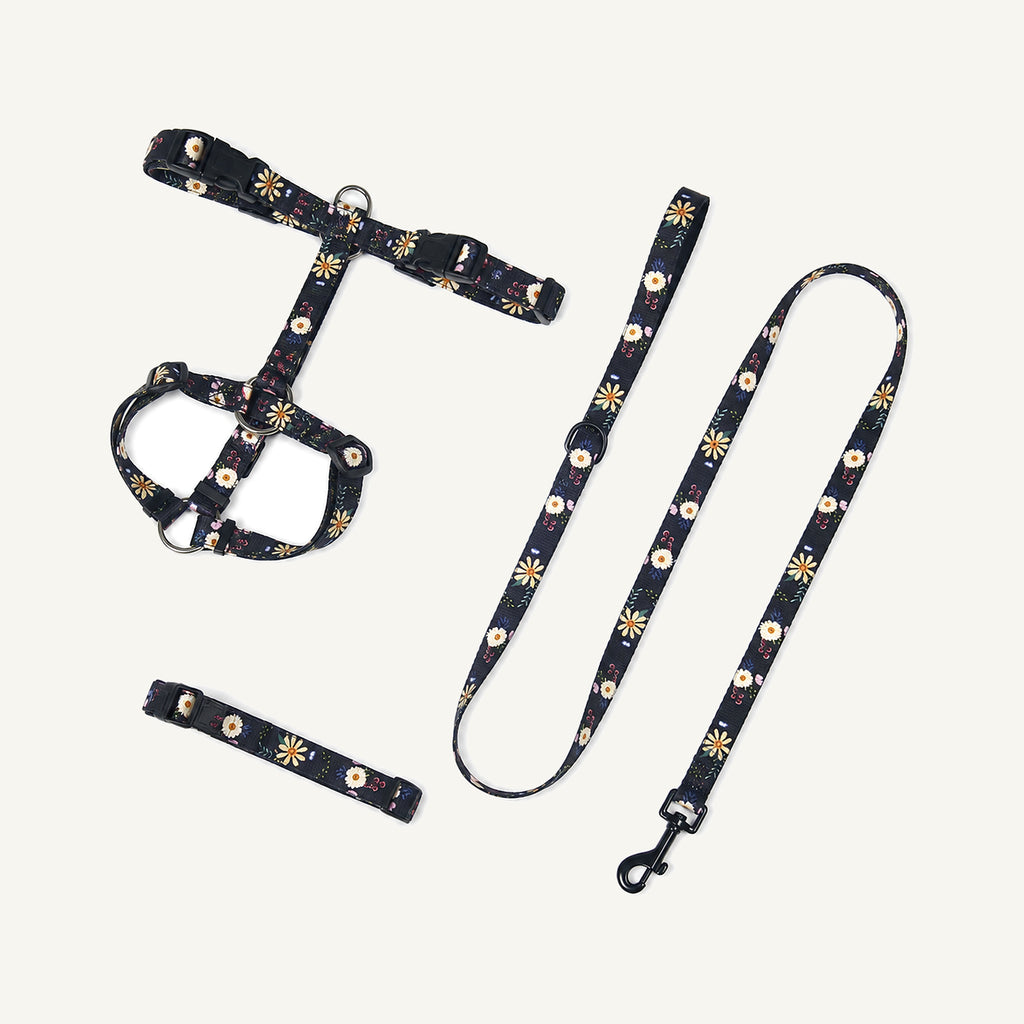 Black Orange printed polyester dog harness collar and leash set catalogue view for private label buyers