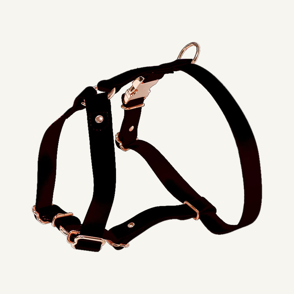 Black pvc dog harness with rose gold tone hardware catalogue view for private label buyers