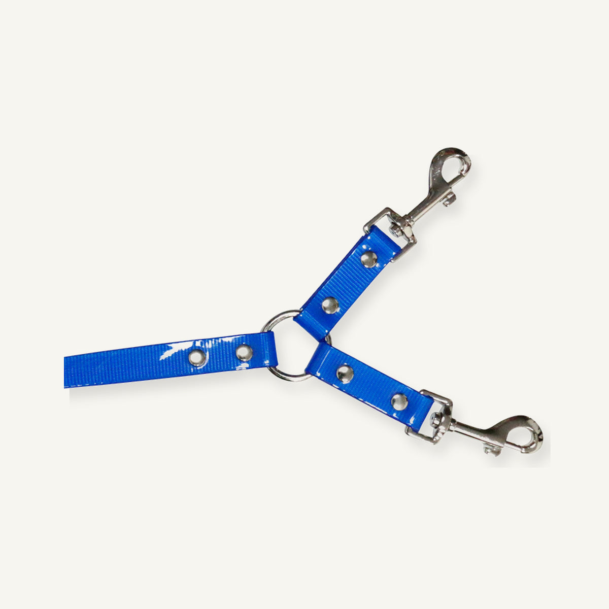 Blue TPU double dog leash coupler shown with central ring and split branches