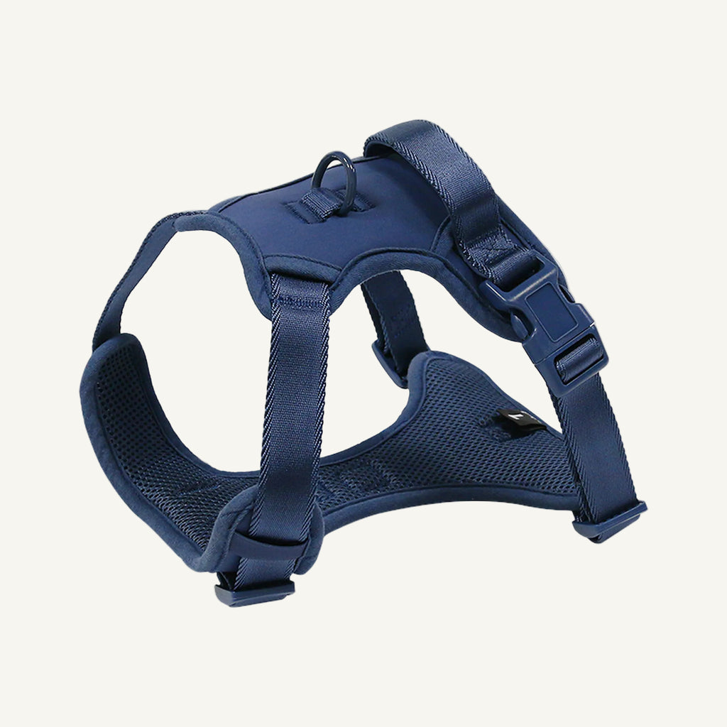 Blue lightweight mesh dog harness with control handle catalogue view for private label buyers