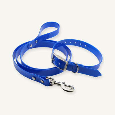 Blue solid TPU dog collar leash set showing matching collar and long lead