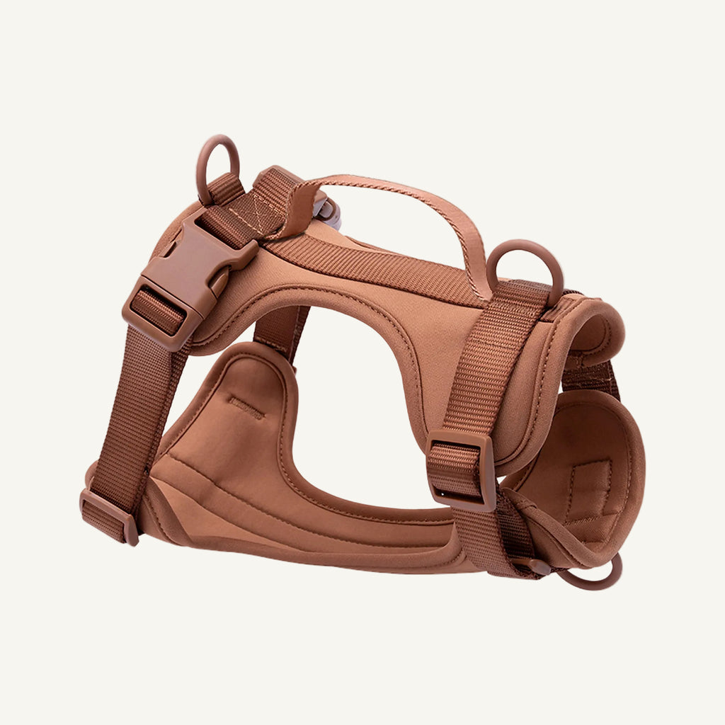 Brown padded no pull dog harness with control handle catalogue view for private label buyers