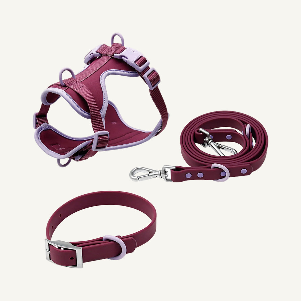 Burgundy Pink two tone dog harness collar and leash set catalogue view for private label buyers