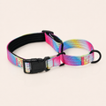 P-Chain Anti-Lunge Dog Collar with Neoprene Padding