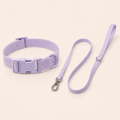 Waterproof PVC Dog Collar & Leash Set