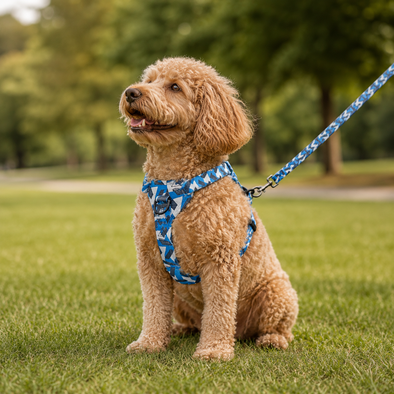 Printed Polyester Adjustable Dog Harness