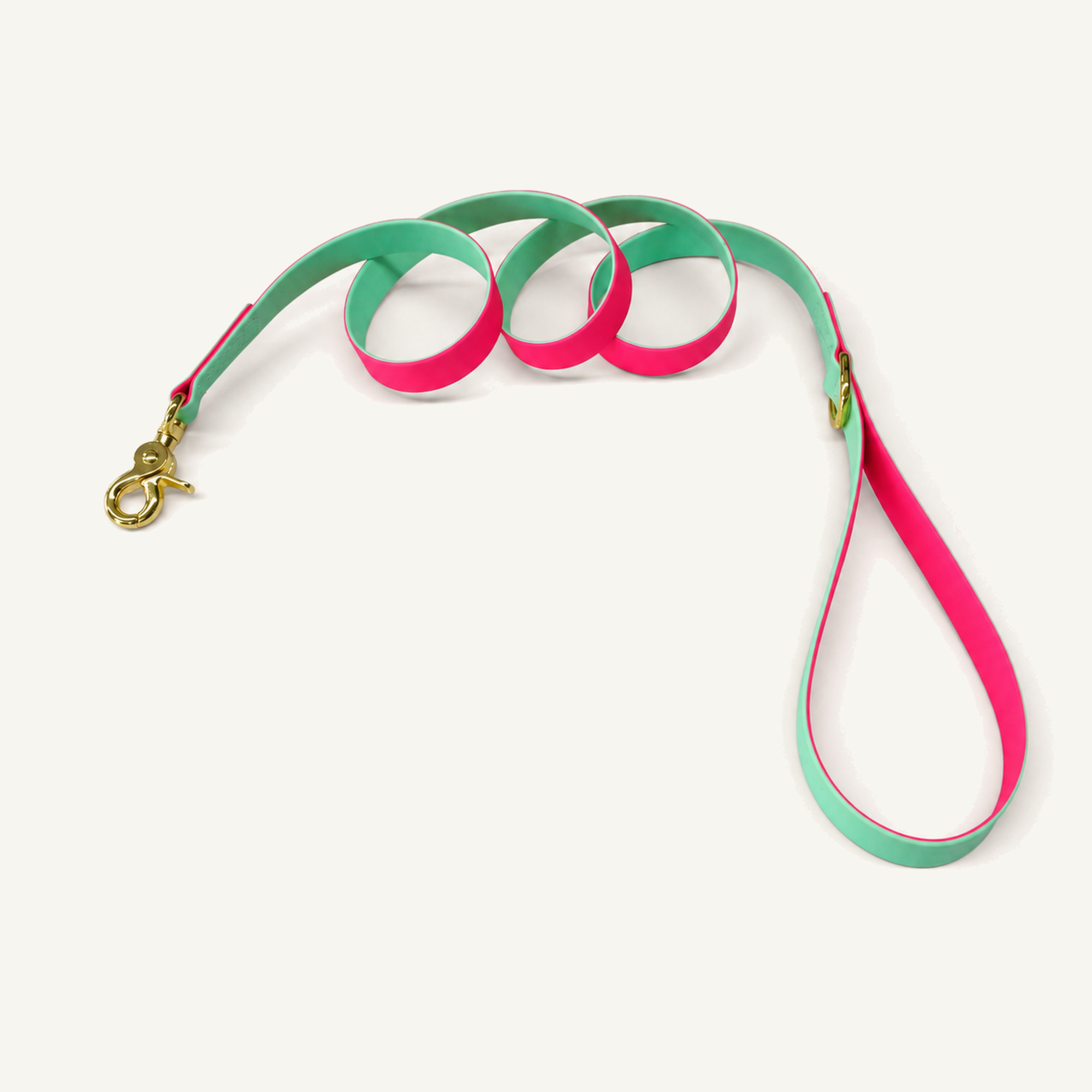 Two-Tone PVC-Coated Dog Leash with Gold-Tone Hardware