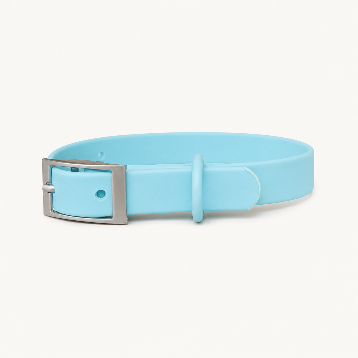 Turquoise PVC Dog Collar with Zinc Alloy Fittings