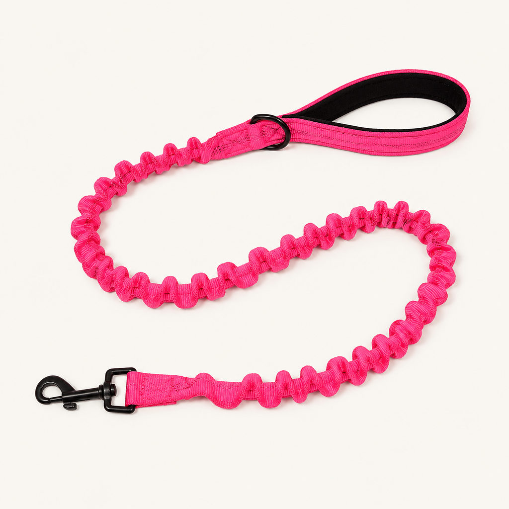 Shock Absorbing Reflective Elastic Dog Leash