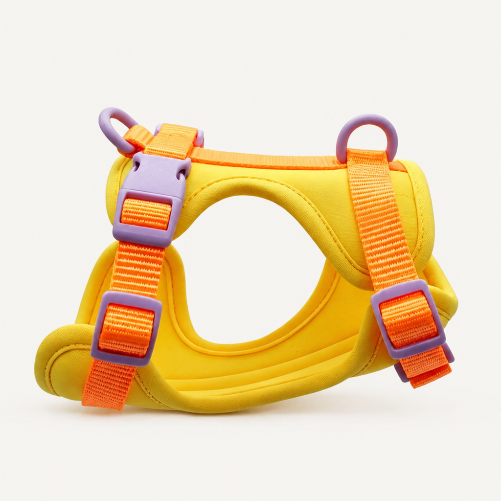 Colorblock Padded Dual-Attachment Dog Harness