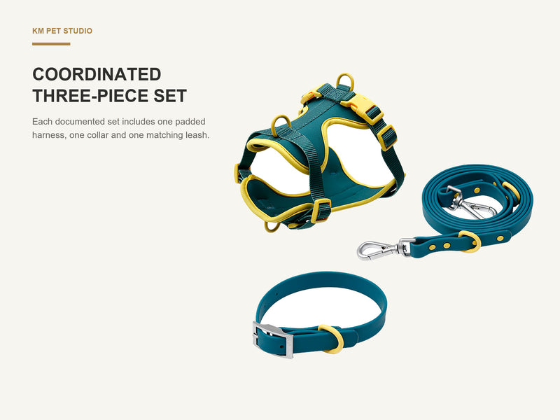 Coordinated Three-Piece Set detail on two tone dog harness collar and leash set for wholesale buyers