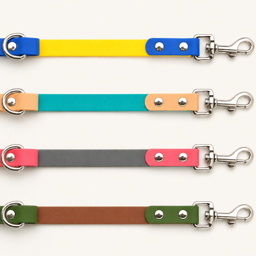 Two-Tone PVC-Coated Double-Ended Dog Leash