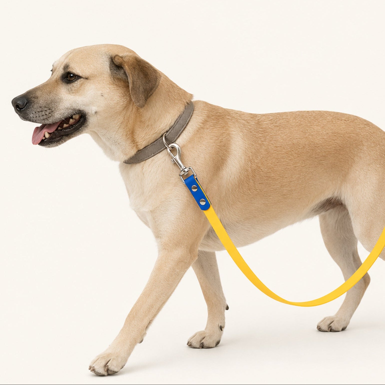 Two-Tone PVC-Coated Double-Ended Dog Leash