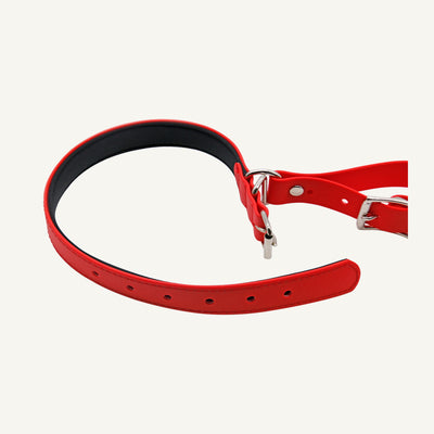 Custom padded PVC integrated dog collar leash set highlighting the integrated swivel connection in red