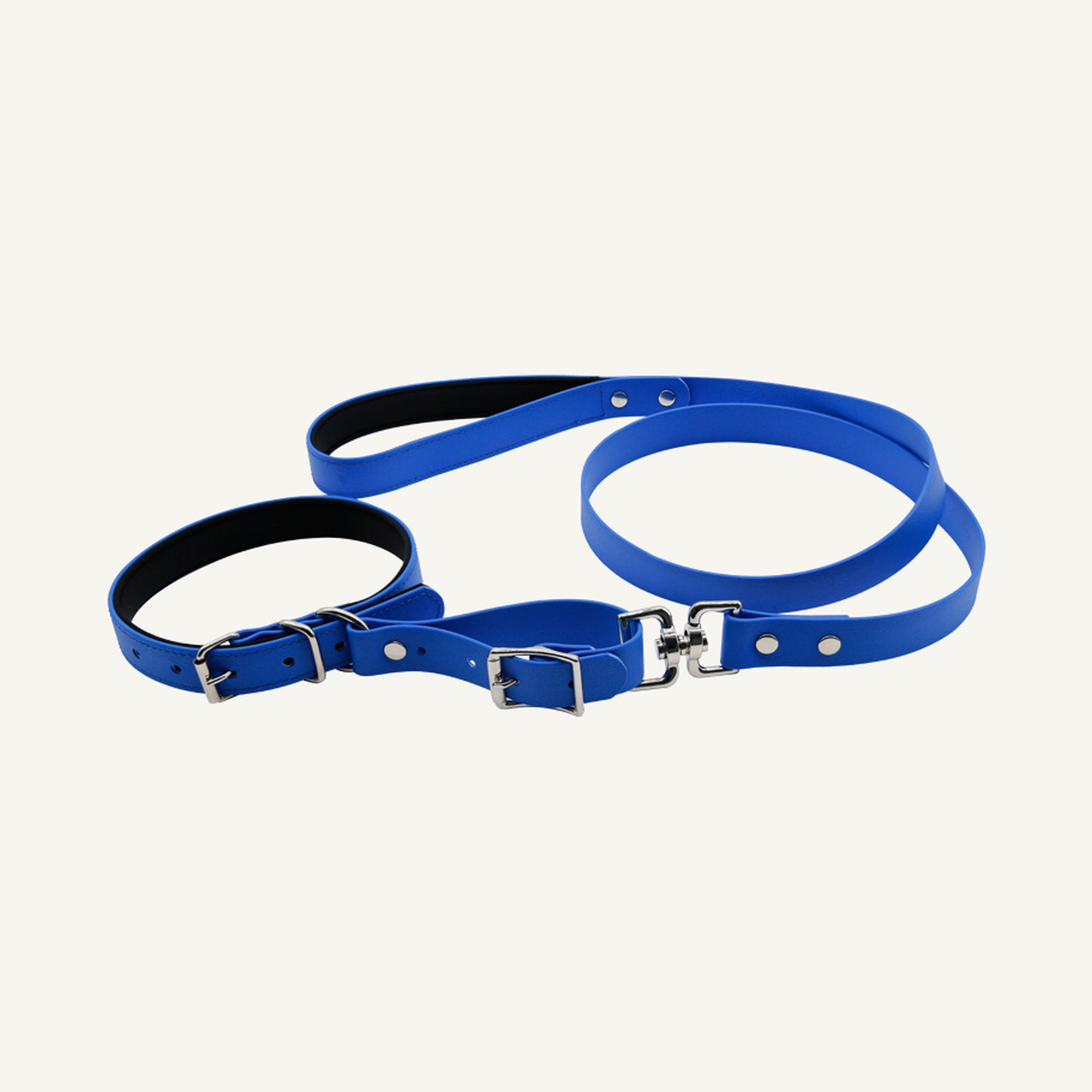 Custom padded PVC integrated dog collar leash set shown in blue with connected collar and lead