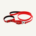 Custom padded PVC integrated dog collar leash set shown in red with connected collar and lead