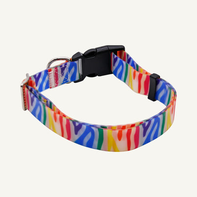Custom printed PVC dog collar leash set showing the multicolor zebra adjustable collar front view