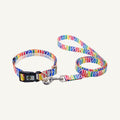 Custom printed PVC dog collar leash set shown in multicolor zebra print with matching lead