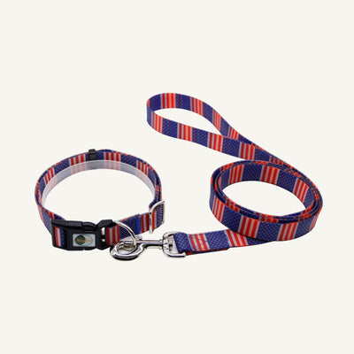 Custom printed PVC dog collar leash set shown in striped flag print with matching lead