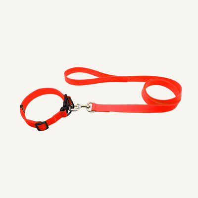 Custom solid PVC quick release dog collar leash set shown in red with adjustable buckle collar and lead