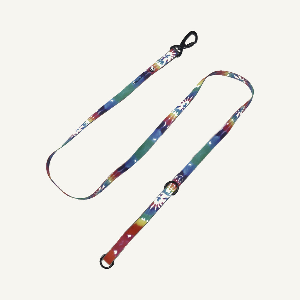 Custom tie dye printed PVC dog collar leash set showing the long printed leash and separate extension strap