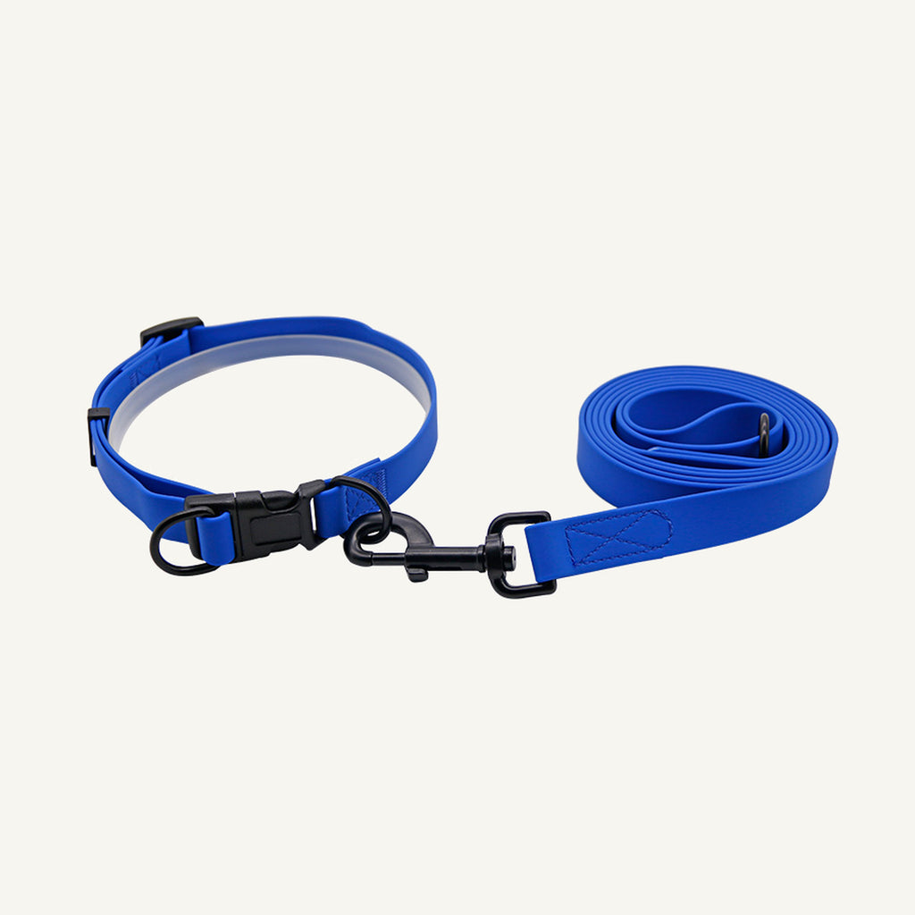 Custom waterproof PVC dog collar and two meter leash set shown in dark blue with collar and lead