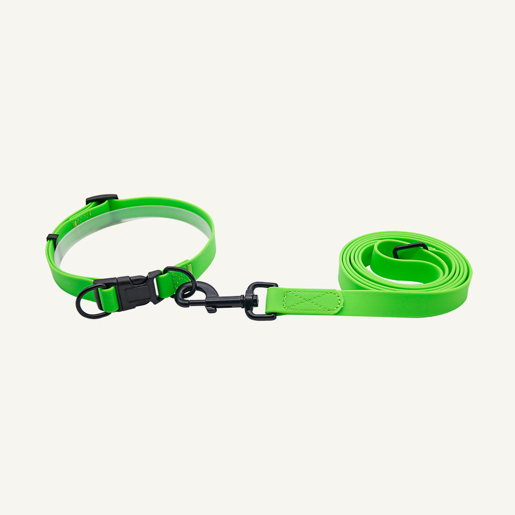 Custom waterproof PVC dog collar and two meter leash set shown in green with collar and lead