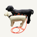 Custom waterproof PVC double dog leash splitter used with two dogs in a coordinated walking setup