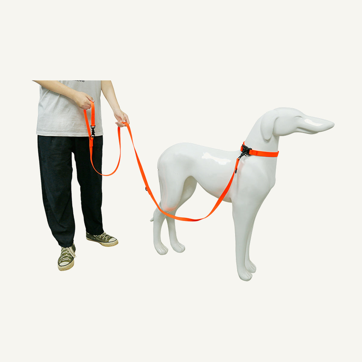 Custom waterproof PVC multifunction hands free dog leash set used with a dog in an extended walking setup