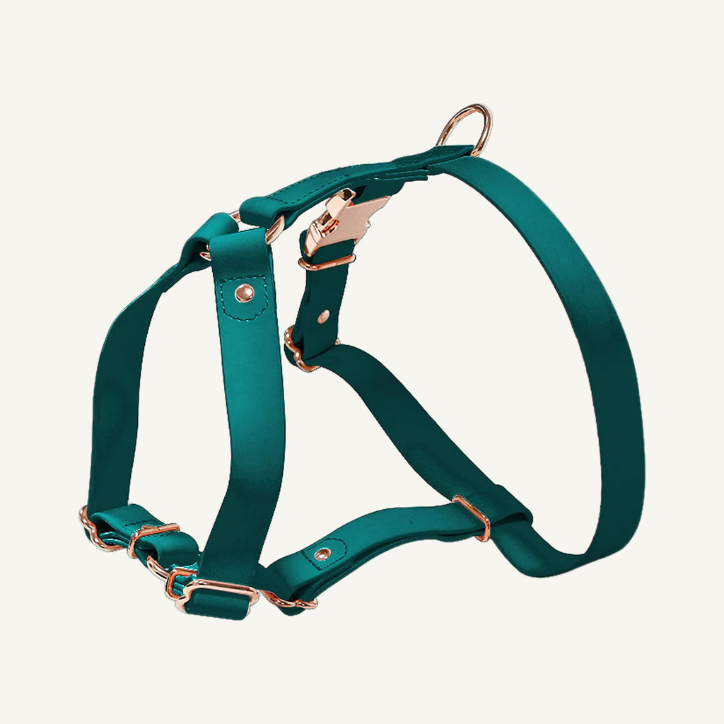 Dark Green pvc dog harness with rose gold tone hardware catalogue view for private label buyers