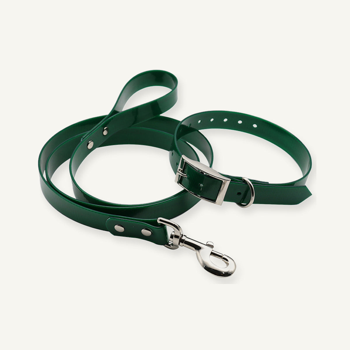 Dark green TPU dog collar and leash set with silver tone metal fittings