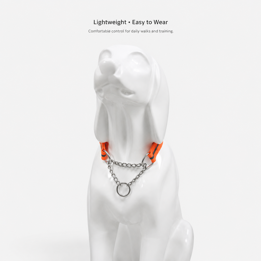 PVC Reflective Half P-Chain Dog Collar with Stainless Steel Chain