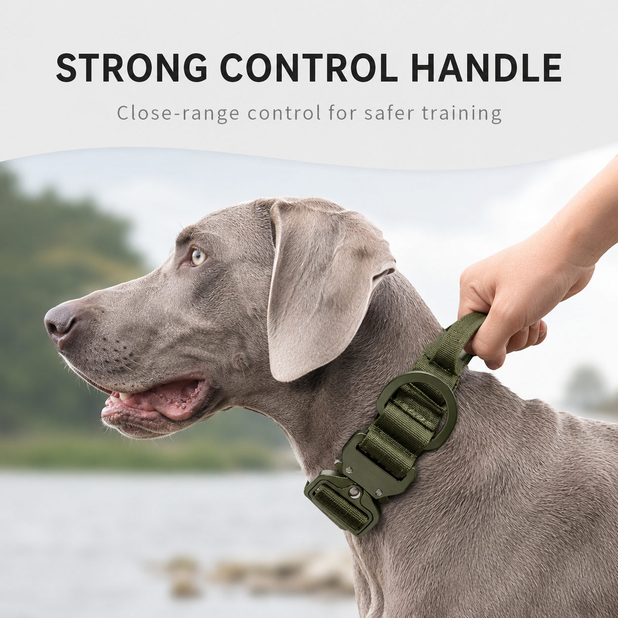 Heavy Duty Tactical Dog Collar with Aluminum Buckle and Control Handle