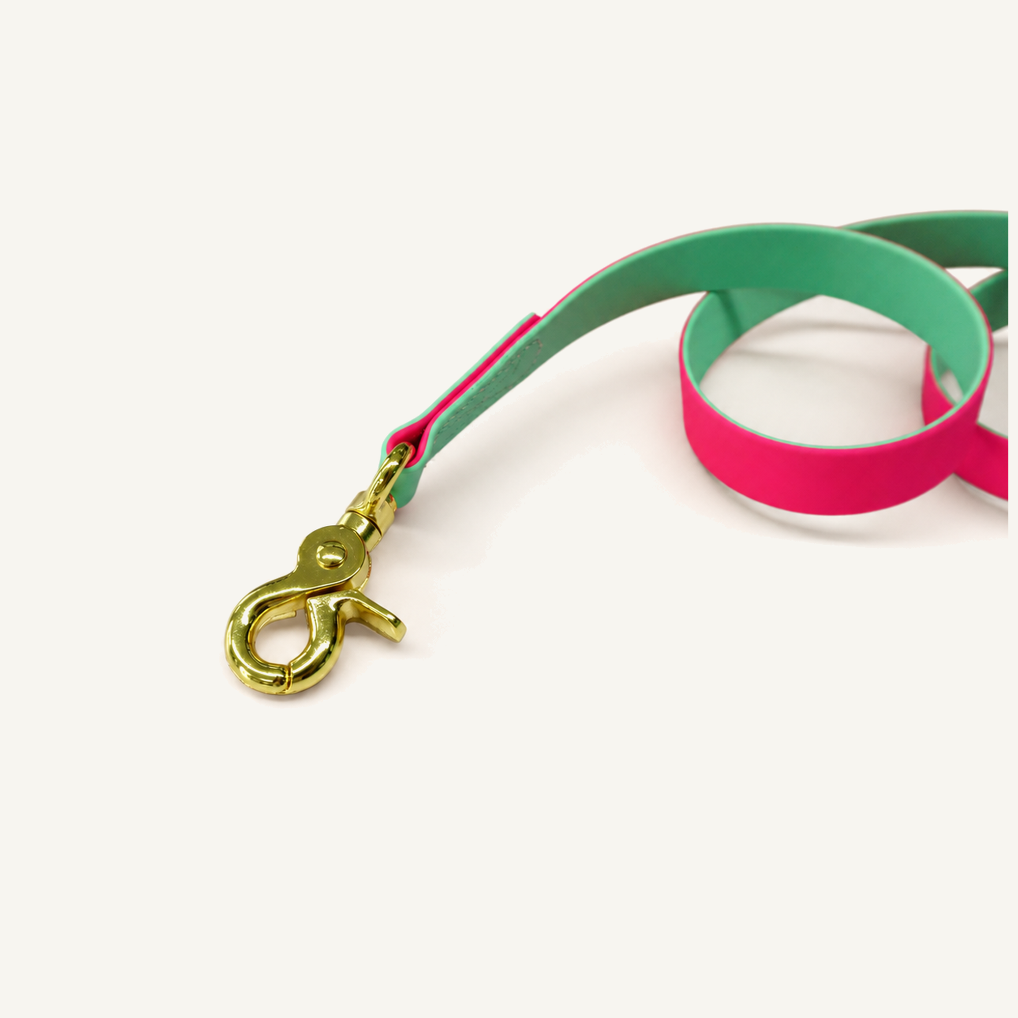 Two-Tone PVC-Coated Dog Leash with Gold-Tone Hardware