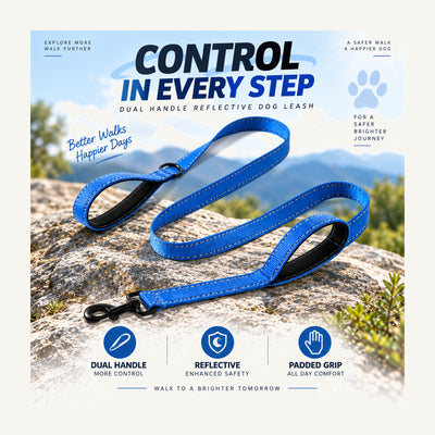 Wholesale Dual Handle Reflective Dog Leash with Padded Traffic Hand