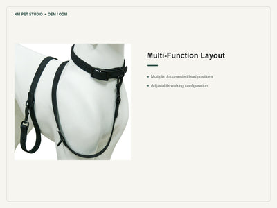 Embossed PVC dog collar leash set detail showing documented multifunction walking configurations