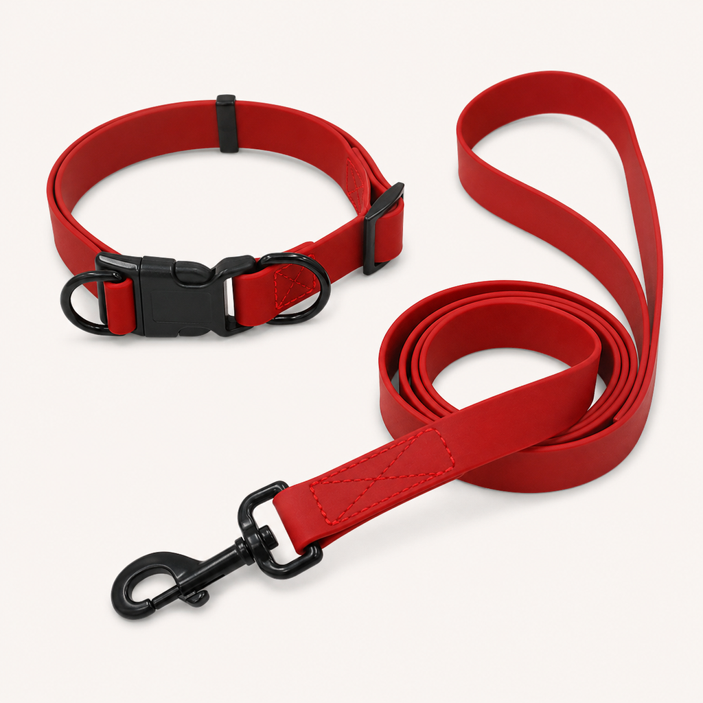 Solid Color PVC Webbing Dog Leash