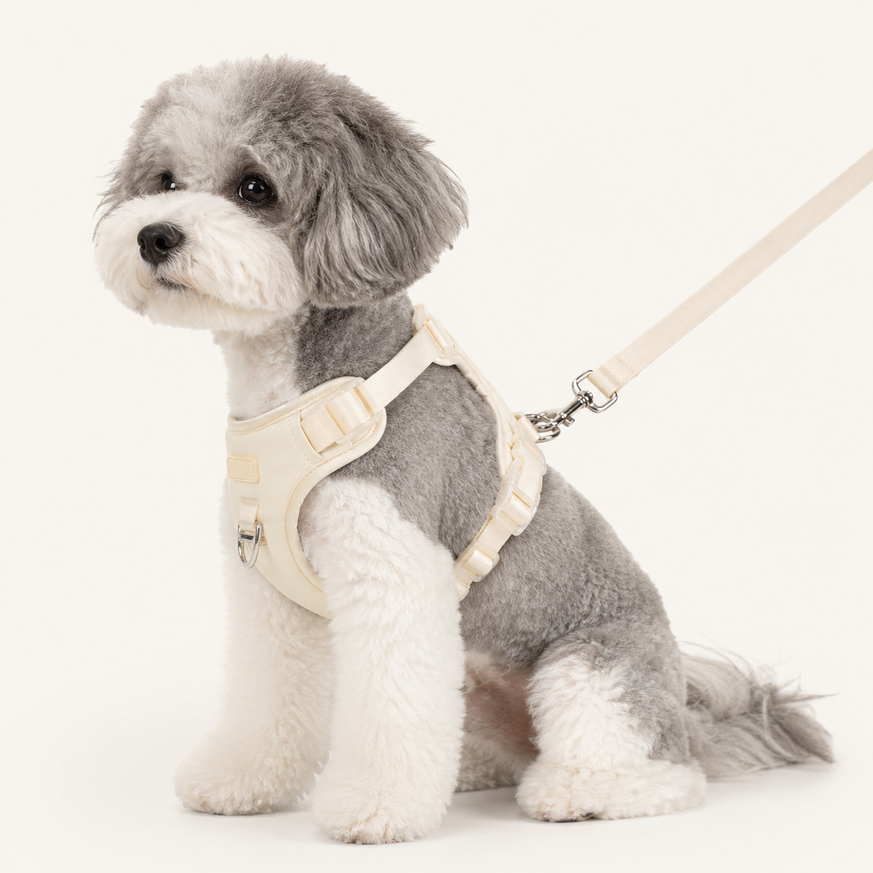 Lightweight Waterproof Comfort Dog Harness