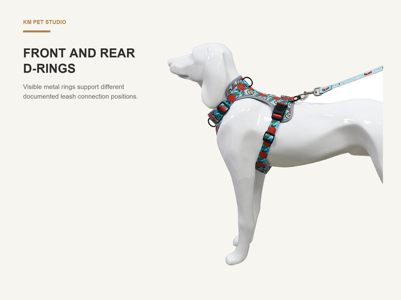 Front and Rear D-Rings detail on printed neoprene no pull dog harness for wholesale buyers