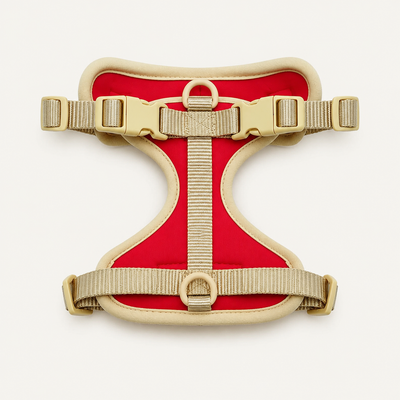 Red Sand Adjustable Padded Dog Harness