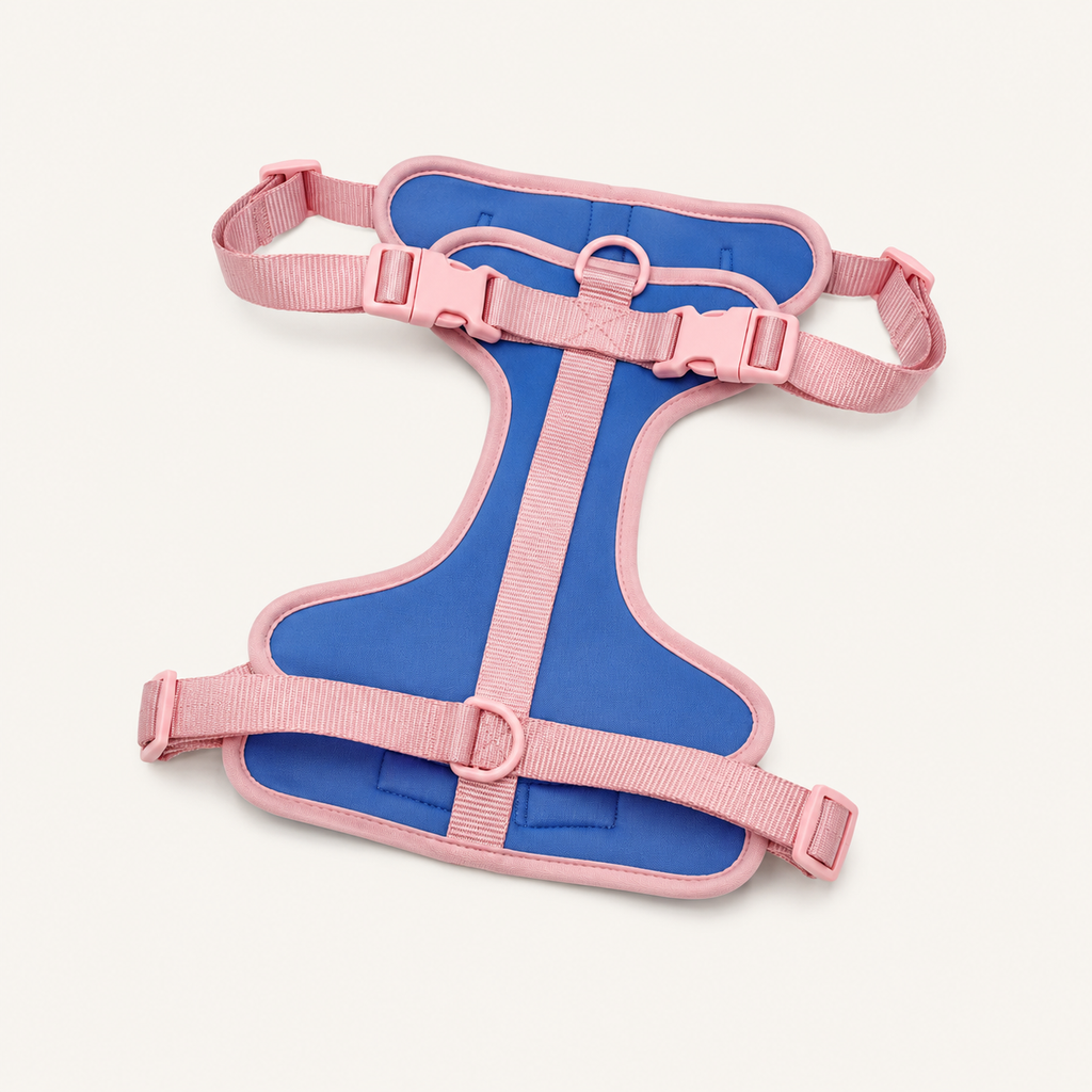 Blush-Trim Padded Dual-Attachment Dog Harness